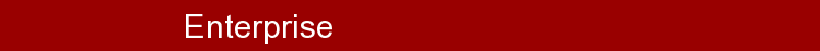 Enterprise