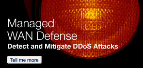Tell me more about Managed WAN Defense